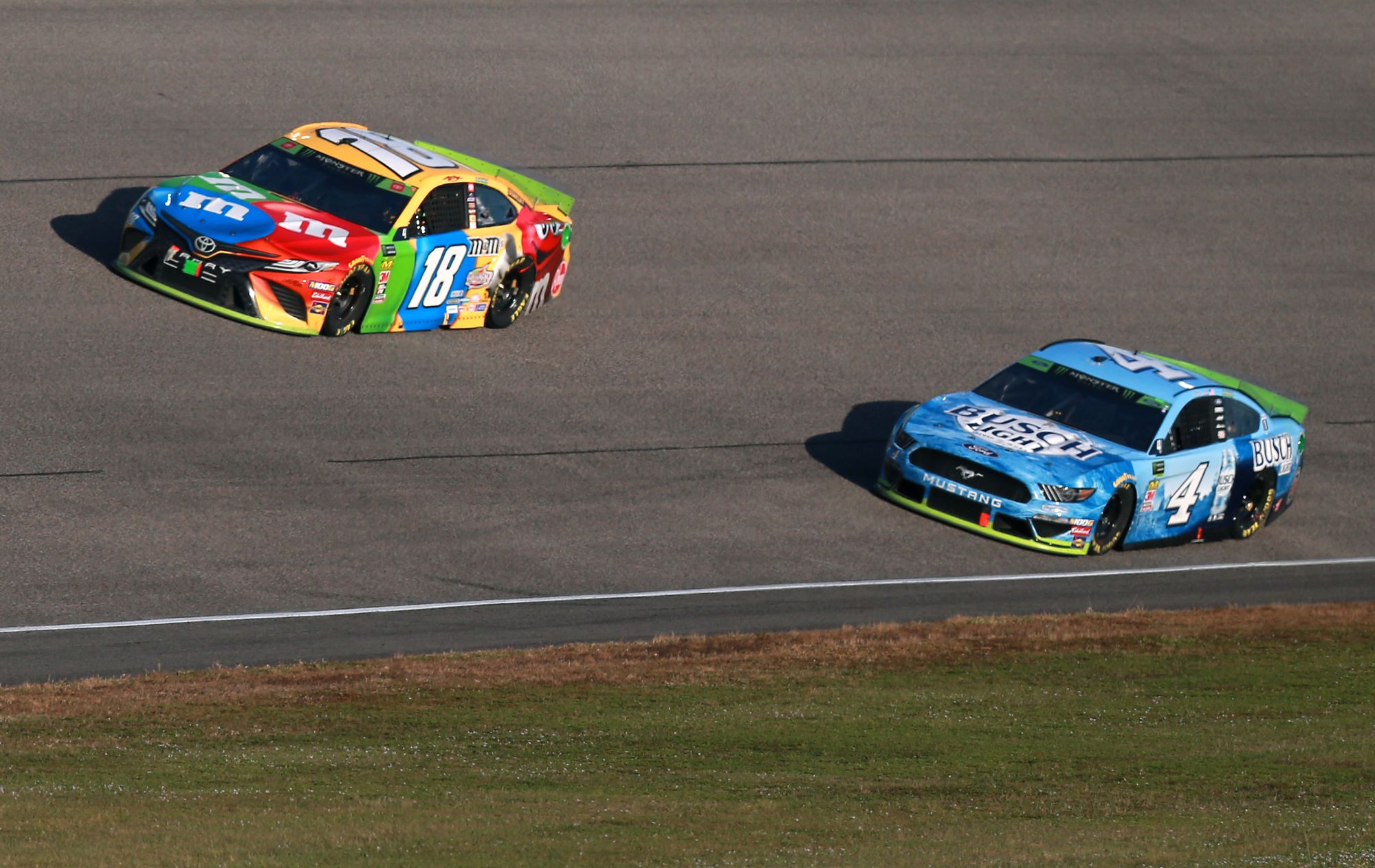 kevin harvick nascar champion