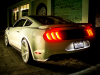 2019-ford-mustang-saleen-s302-white-label-ford-authority-garage-exterior-024-rear-three-quarters