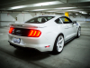 2019-ford-mustang-saleen-s302-white-label-ford-authority-garage-exterior-058-rear-three-quarters