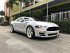 2019-ford-mustang-saleen-s302-white-label-ford-authority-garage-exterior-092-front-three-quarters