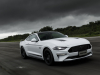2020-ford-mustang-gt-5-0-fastback-coupe-black-shadow-edition-exterior-001-front-three-quarters