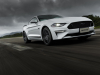 2020-ford-mustang-gt-5-0-fastback-coupe-black-shadow-edition-exterior-004-front-three-quarters