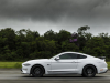 2020-ford-mustang-gt-5-0-fastback-coupe-black-shadow-edition-exterior-007-side-profile