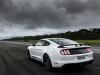 2020-ford-mustang-gt-5-0-fastback-coupe-black-shadow-edition-exterior-011-rear-three-quarters