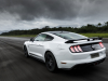 2020-ford-mustang-gt-5-0-fastback-coupe-black-shadow-edition-exterior-012-rear-three-quarters