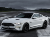 2020-ford-mustang-gt-5-0-fastback-coupe-black-shadow-edition-exterior-013-front-three-quarters