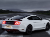 2020-ford-mustang-gt-5-0-fastback-coupe-black-shadow-edition-exterior-020-rear-three-quarters