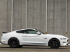 2020-ford-mustang-gt-5-0-fastback-coupe-black-shadow-edition-exterior-024-side-profile