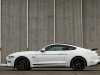 2020-ford-mustang-gt-5-0-fastback-coupe-black-shadow-edition-exterior-025-side-profile