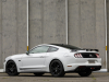 2020-ford-mustang-gt-5-0-fastback-coupe-black-shadow-edition-exterior-026-rear-three-quarters