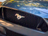 2020-ford-mustang-gt-5-0-fastback-coupe-exterior-002-front-grille-mustang-logo