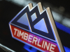 2021-ford-explorer-timberline-forged-green-2021-chicago-auto-show-exterior-021-timberline-badge-logo-on-c-pillar