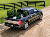 2021-ford-f-150-limited-exterior-017-rear-three-quarters