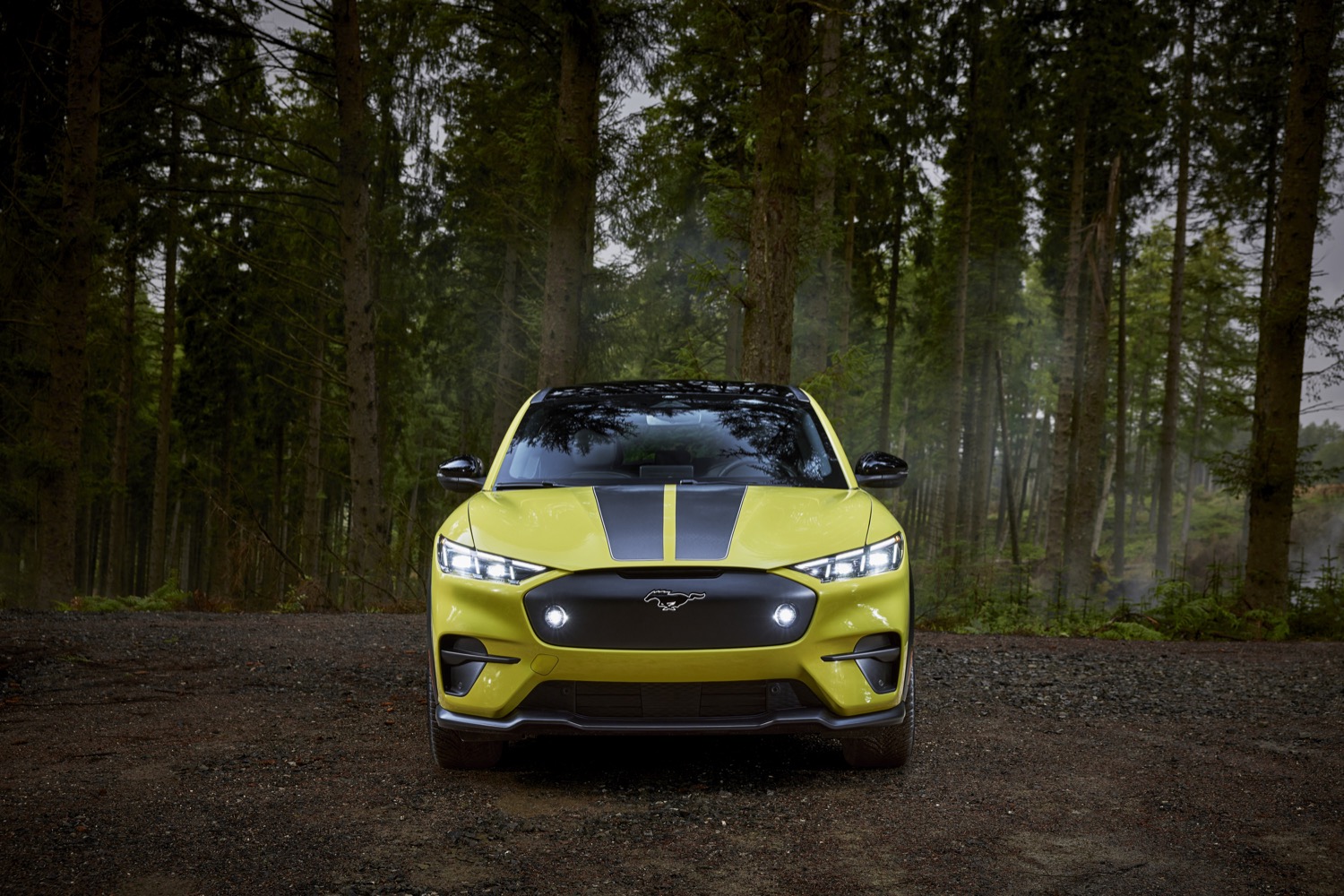 2024 Ford Mustang Mach E Rally Live Photo Gallery 