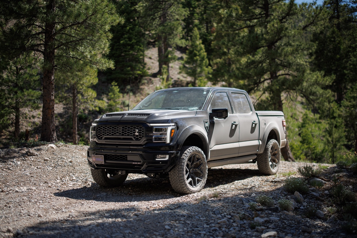 2024 Ford Shelby F-150 Debuts As New Raptor R Alternative