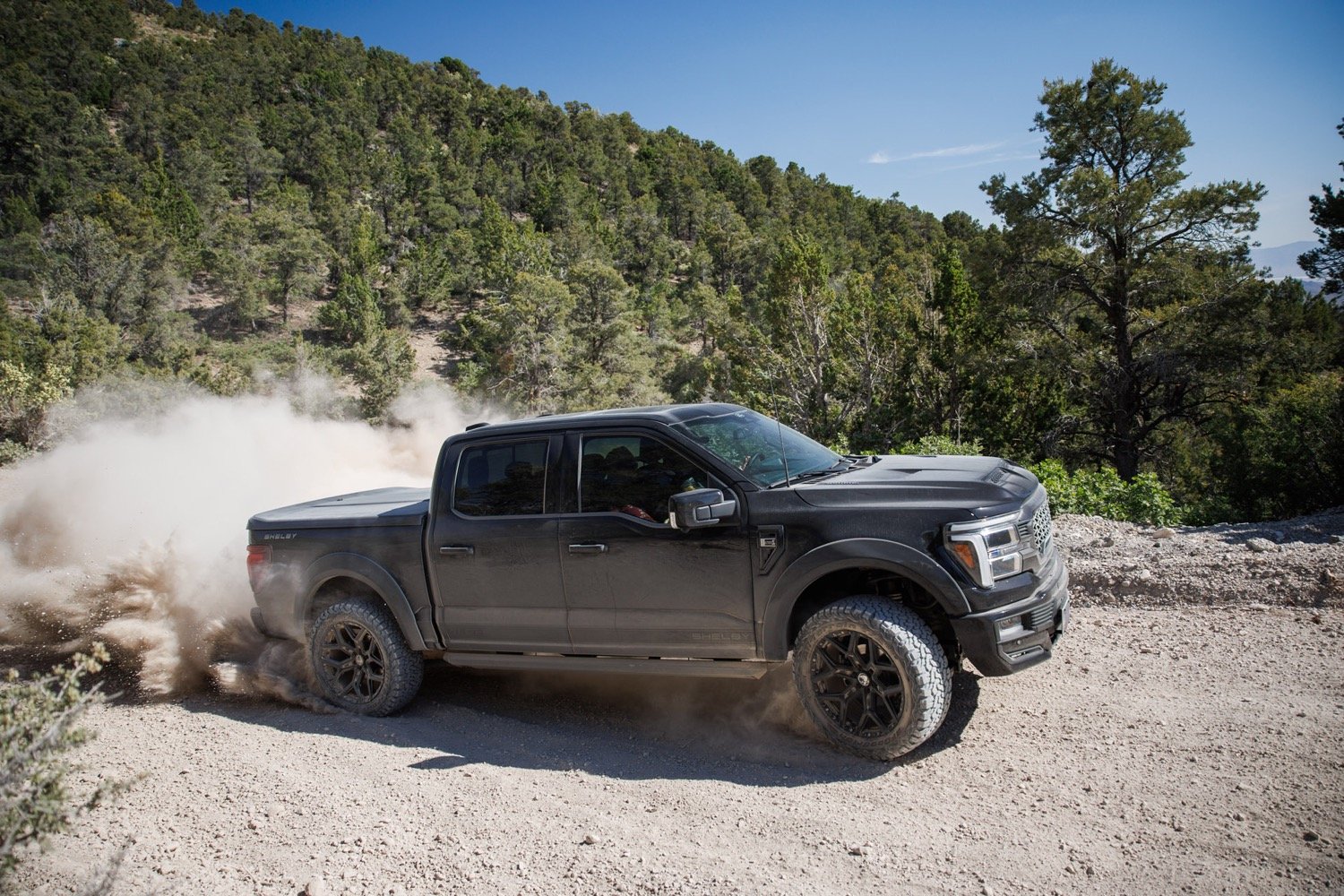 2024 Ford Shelby F-150 Debuts As New Raptor R Alternative