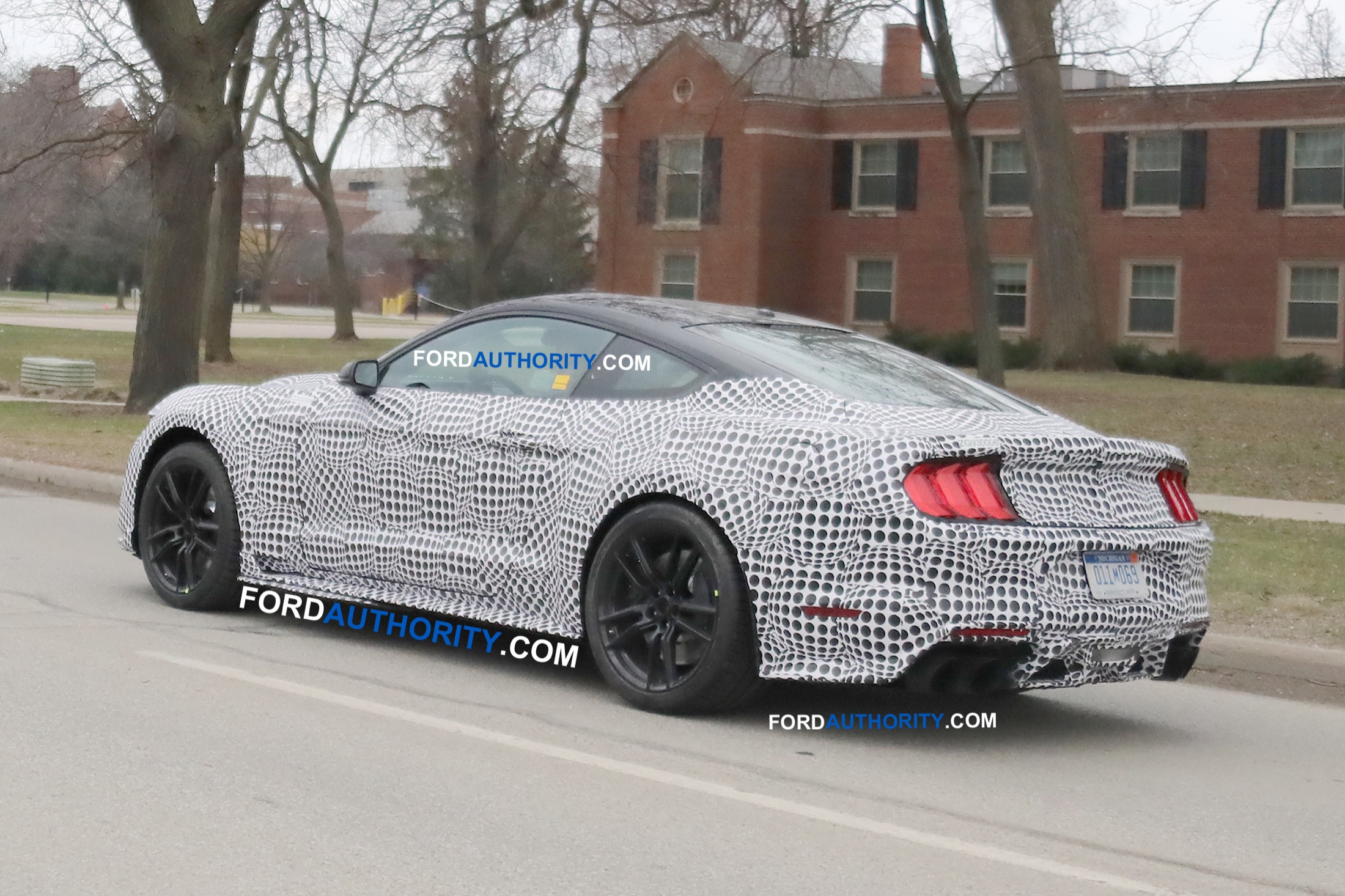 2020 Ford Mustang Pictures Photos Images