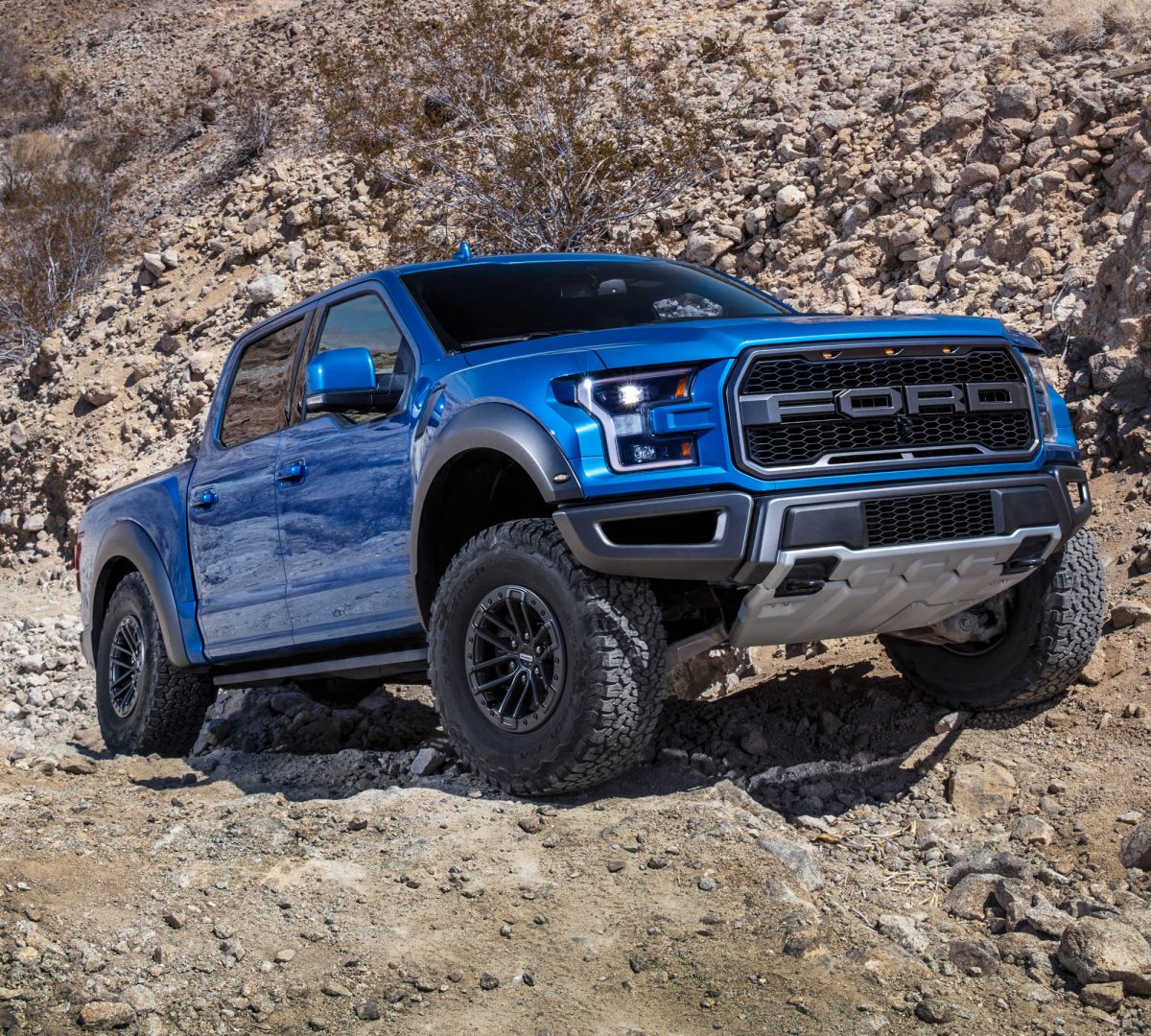 2020 Ford F-150 Raptor Colors