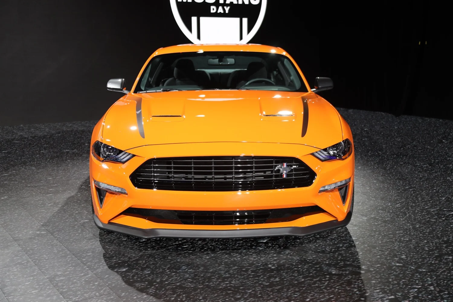 2015-2020 Mustang Ecoboost Front Rear Emblem Matte Black Ford Official Licensed