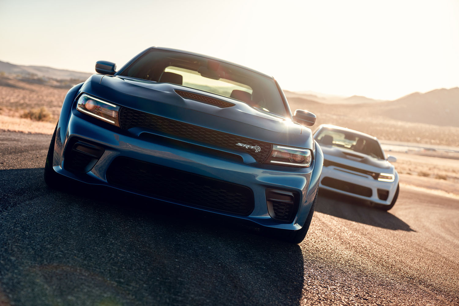 2020 dodge charger hellcat widebody vs 2020 shelby gt500