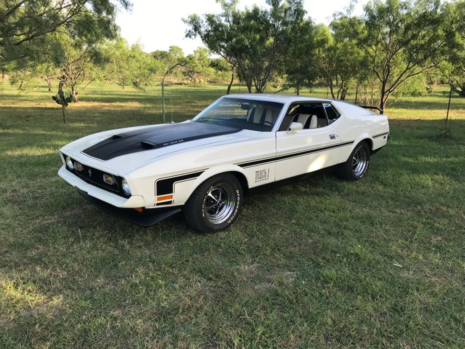 1971 Ford Mustang Mach 1 M Code For Sale