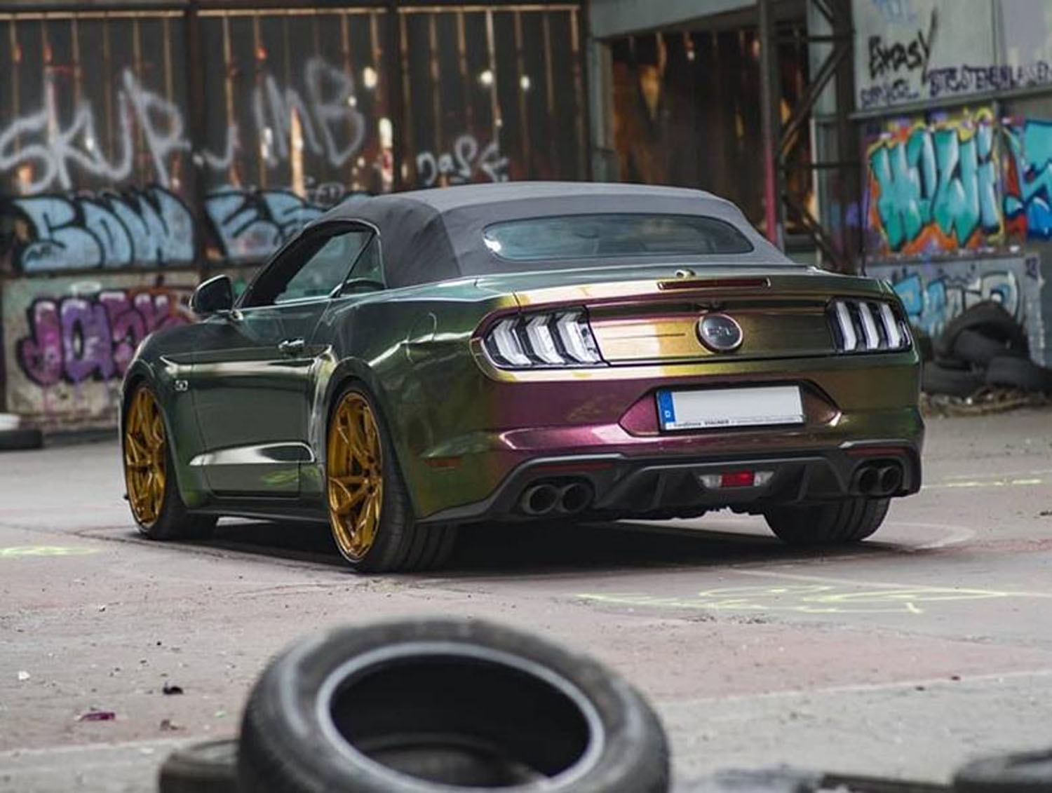 Rainbow Mustang