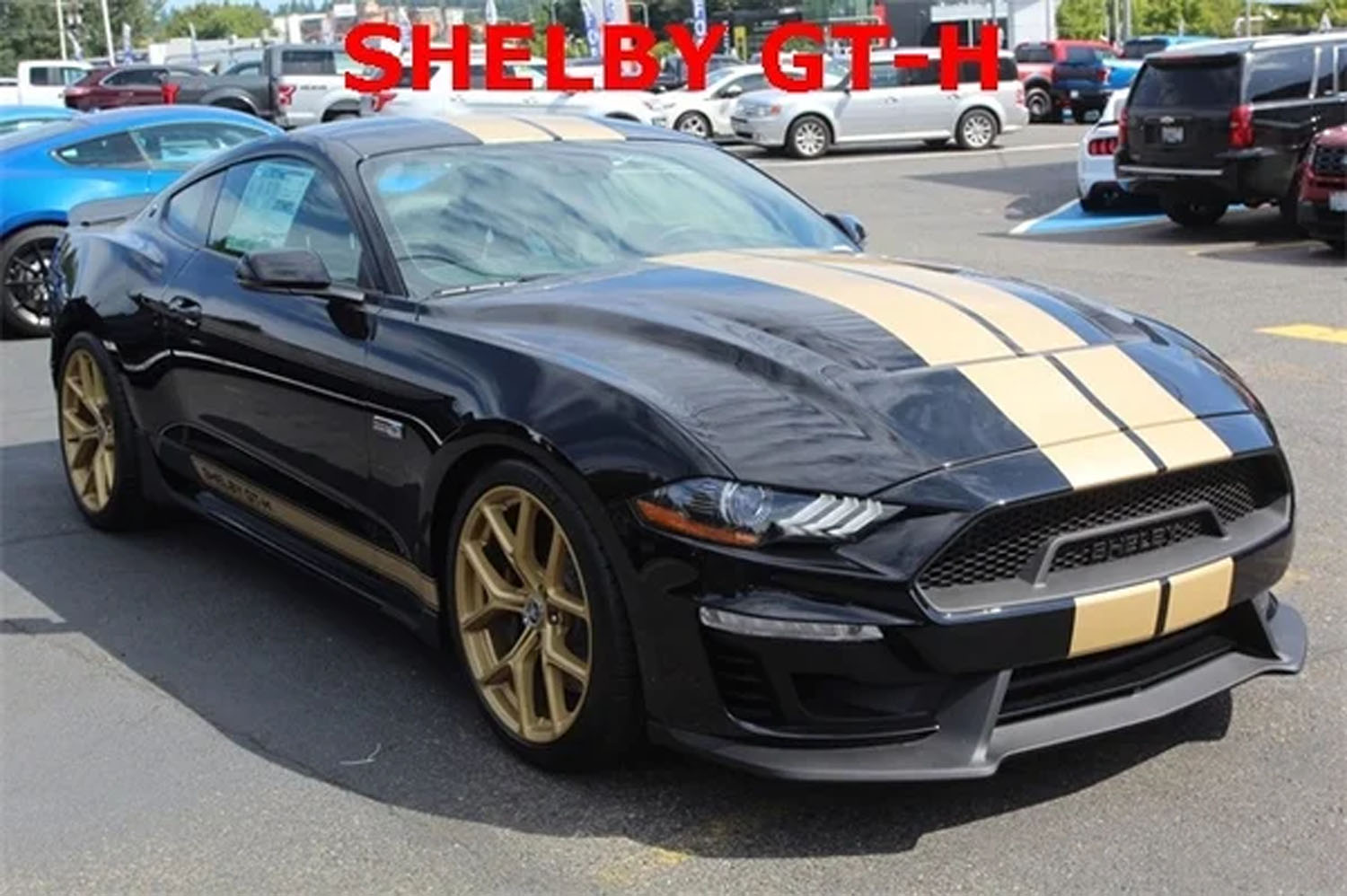 Shelby GT-H