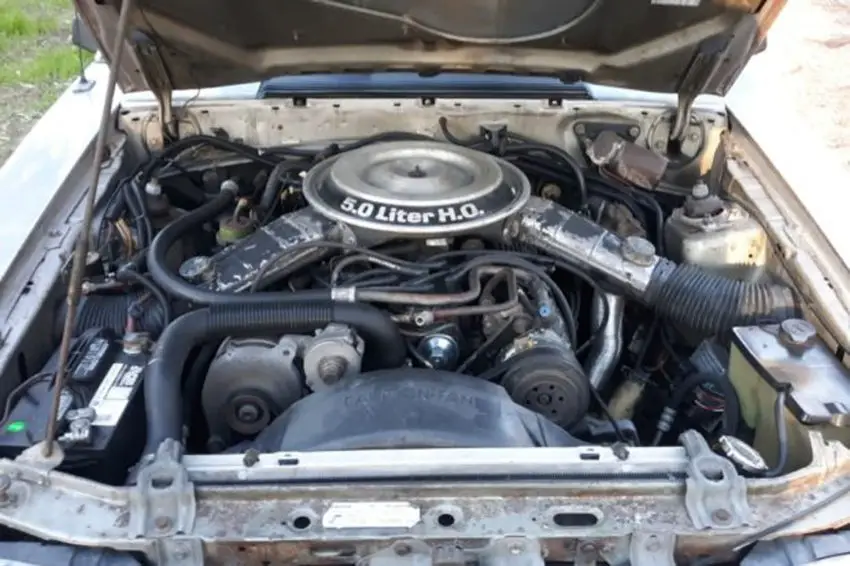 This 1982 Ford Mustang GT Is One Very Clean Classic