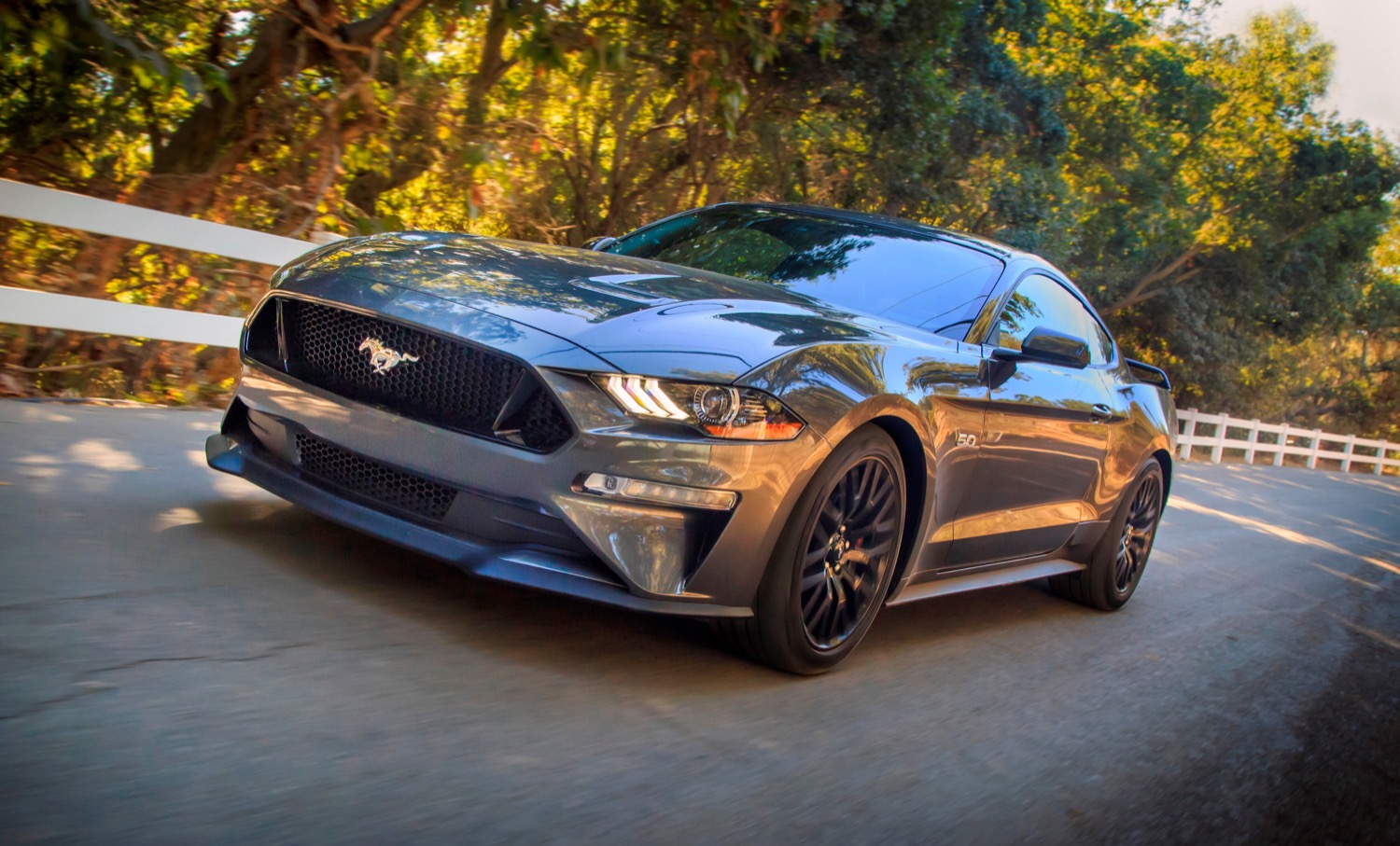 Imagined Ford Contour ST Looks Like a Fusion Sport Bred Out of the S650  Mustang and Accord - autoevolution