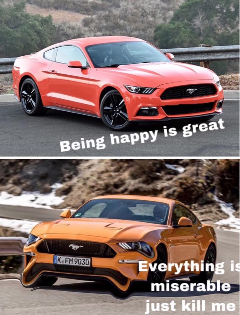 Ford Mustang Meme