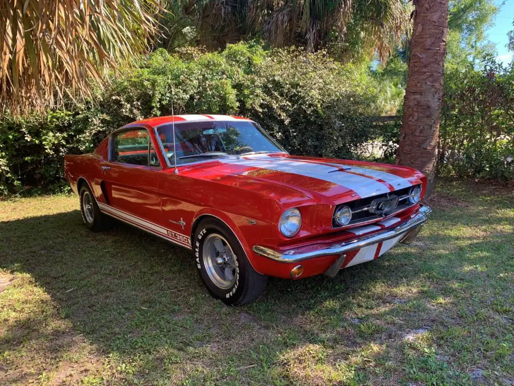 1965 Ford Mustang Shelby GT350 Tribute Is An Affordable Alternative