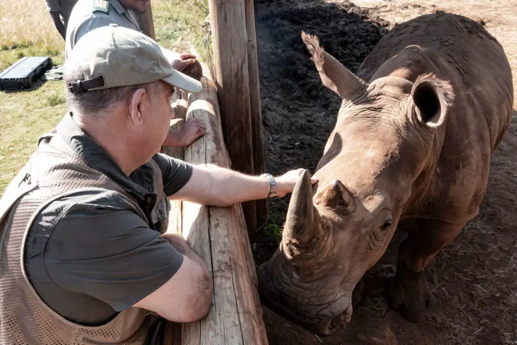 Ford Ranger Plays Vital Role In Rhino Conservation Efforts Across Africa