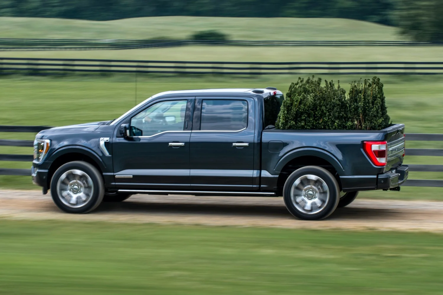 2021 Ford F-150 - Limited - Exterior - 011 - side profile ...