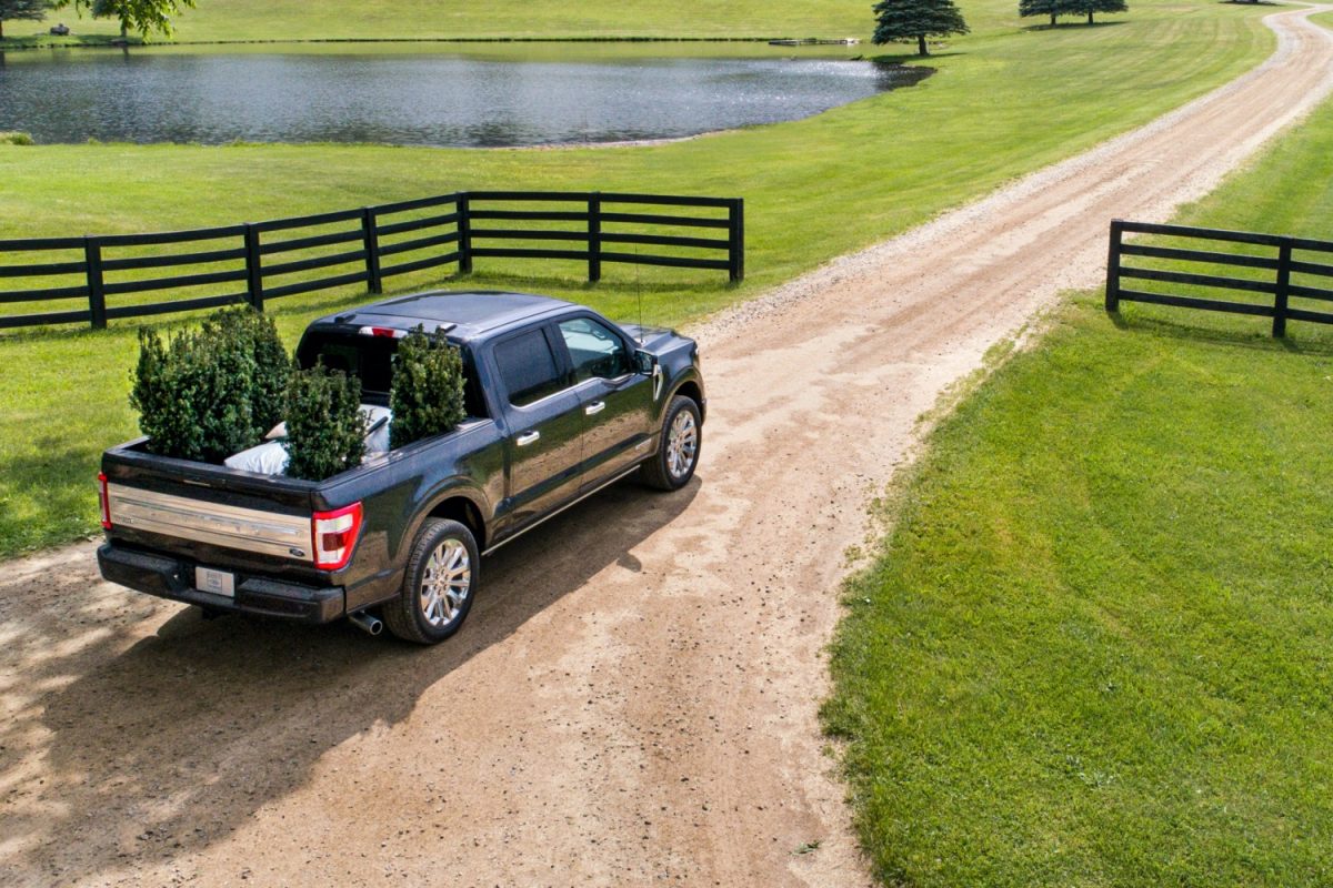 ford-f-150-discount-offers-0-percent-apr-plus-1-000-off-in-march-2022