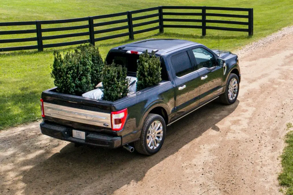 Ford best sale f150 roof