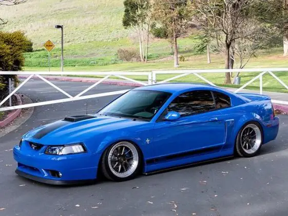 Bagged And Boosted SN95 Mustang Mach 1 Looks Great, Goes Like Hell