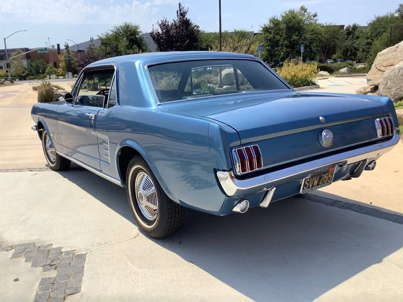 1966 Long-Nose Ford Mustang A/FX: Purpose & power