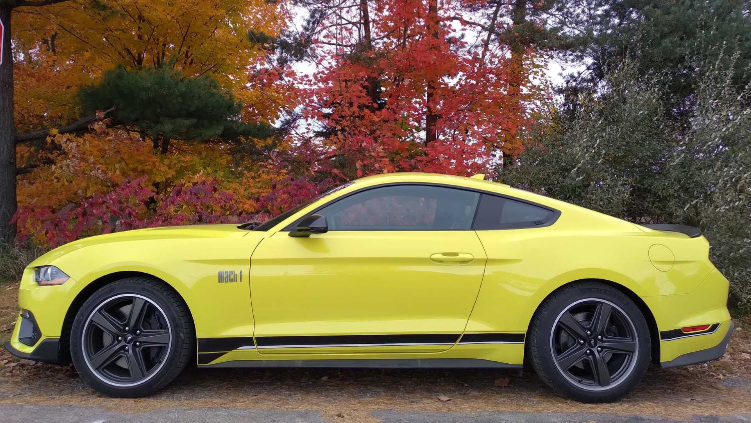 2023 Ford Mustang: Photos, Specs & Review - Forbes Wheels