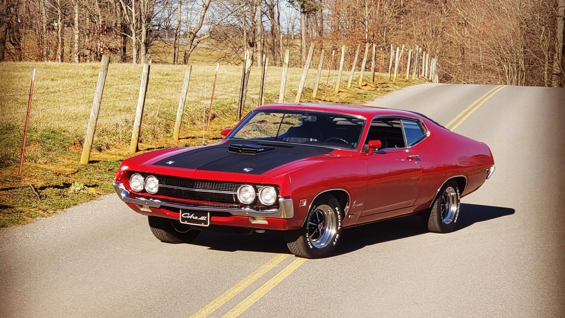 gran torino 429 cobra jet