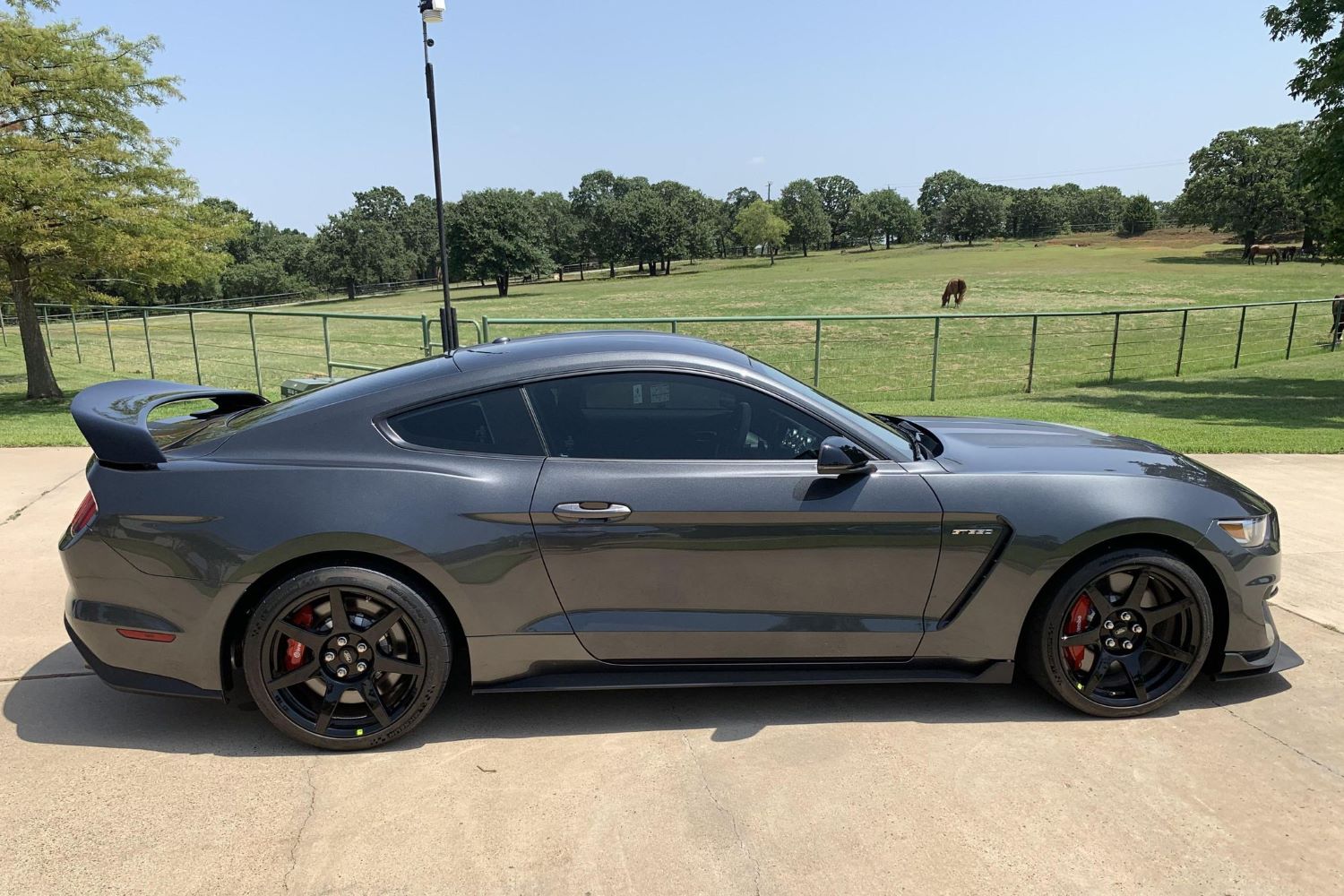 2019 Ford Mustang Shelby Gt350r With 250 Miles Up For Grabs Ford Forums 1980