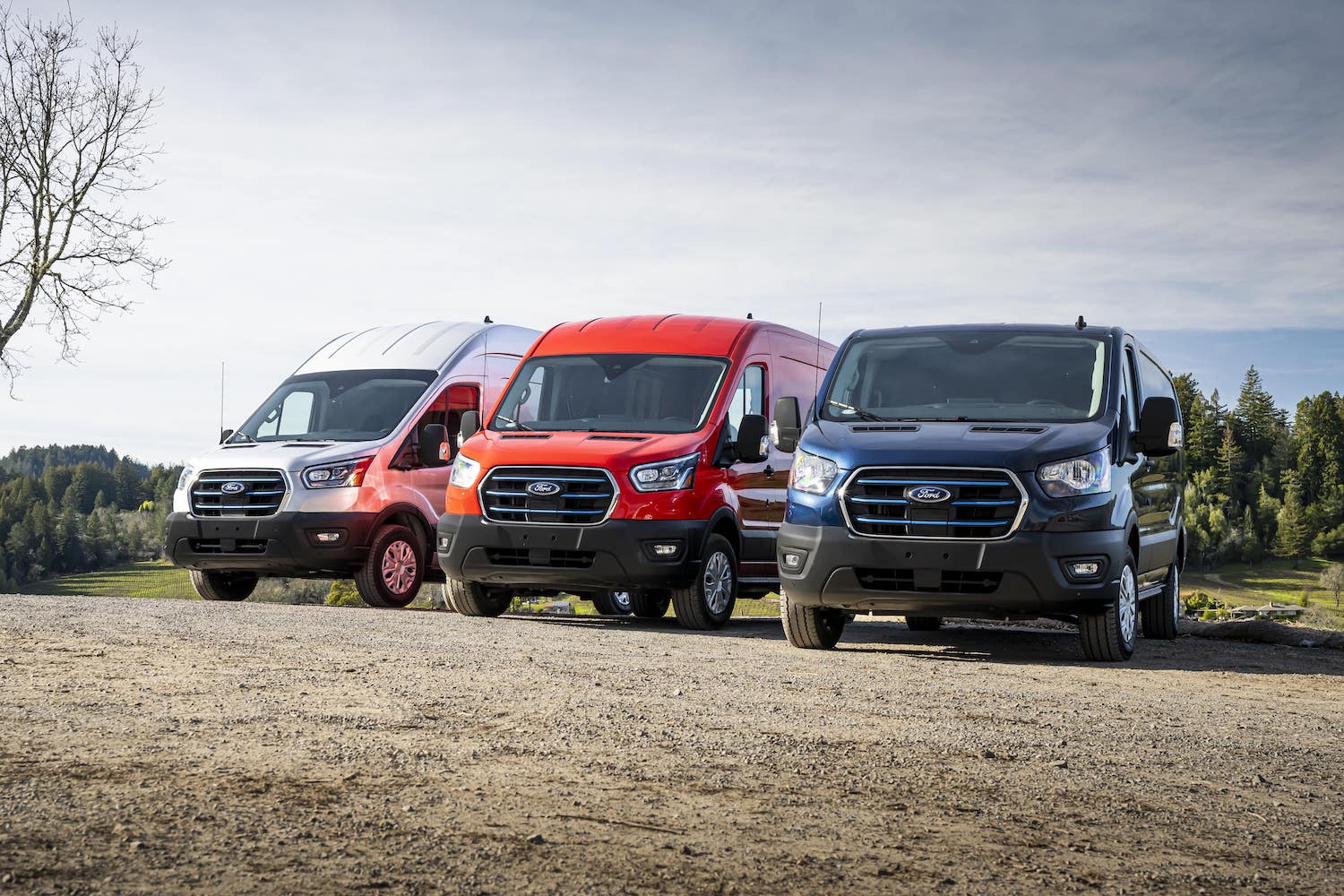 Ford best sale transit info