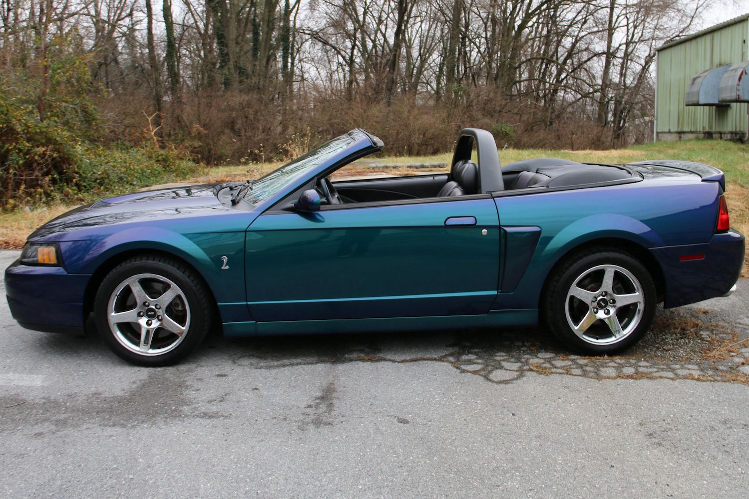 2004 mustang cobra convertible