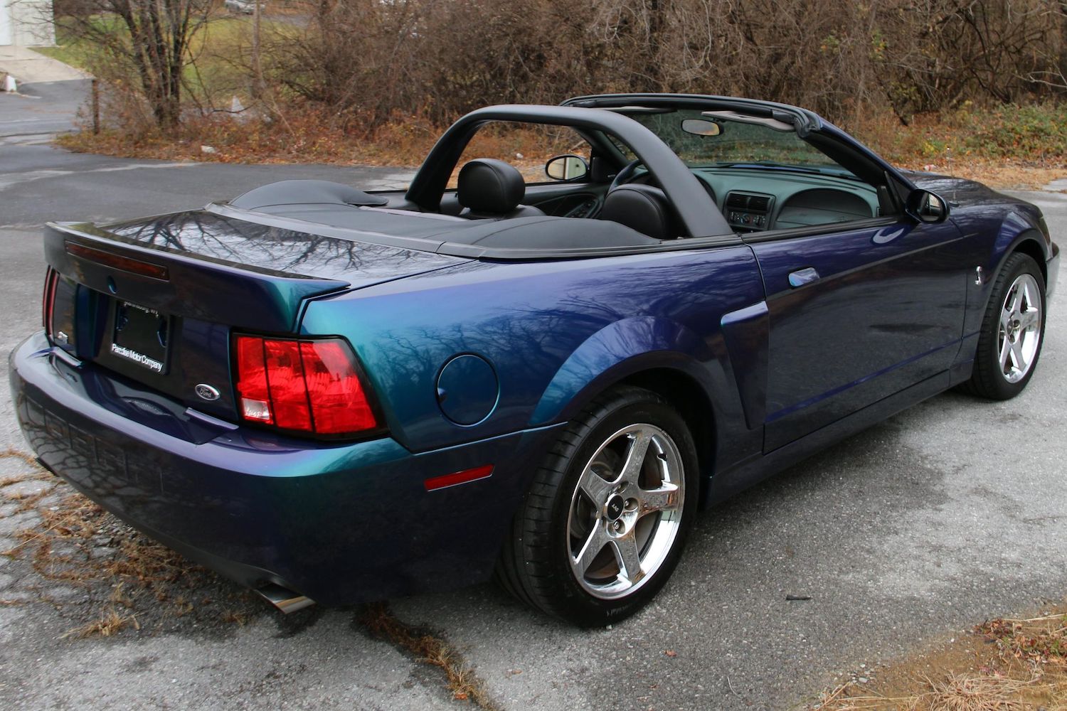 Mystichrome 2004 Ford Mustang Svt Cobra Convertible Up For Auction 8678