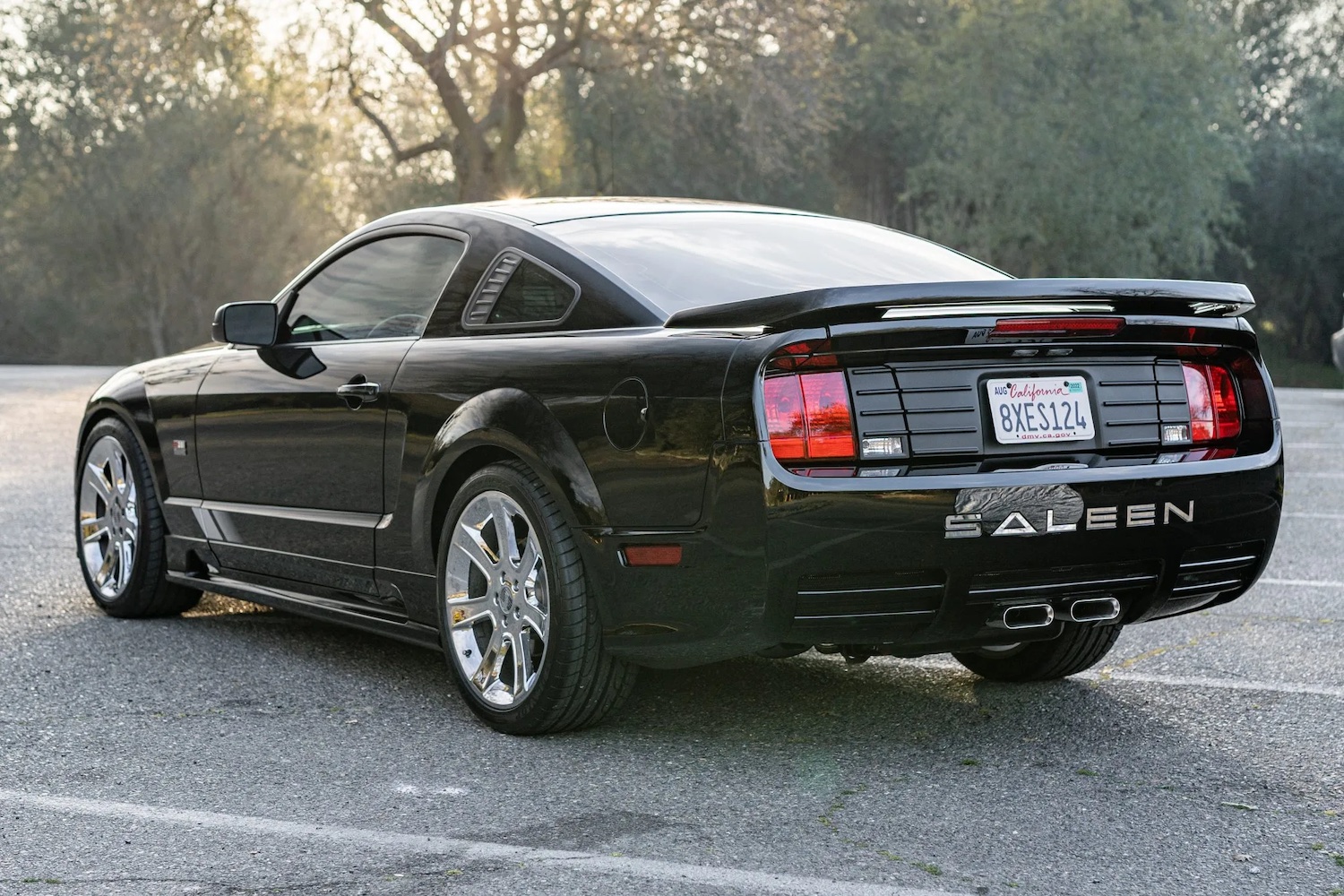 Mustang Saleen 2007