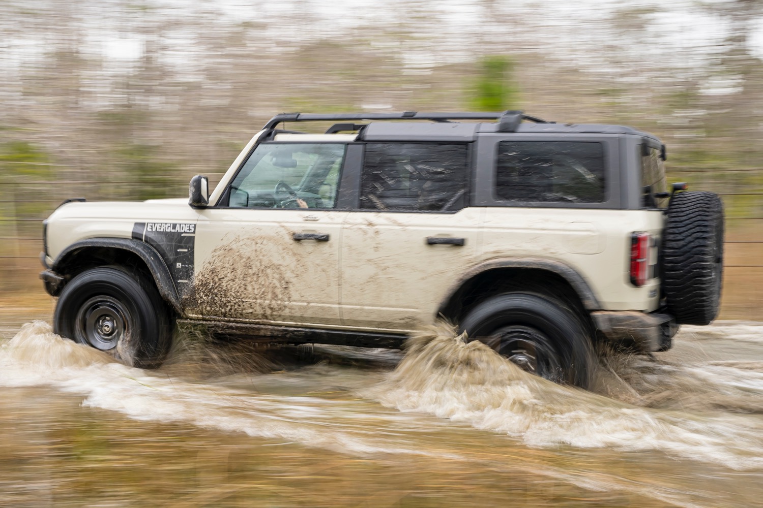 Safari 2025 roof bronco