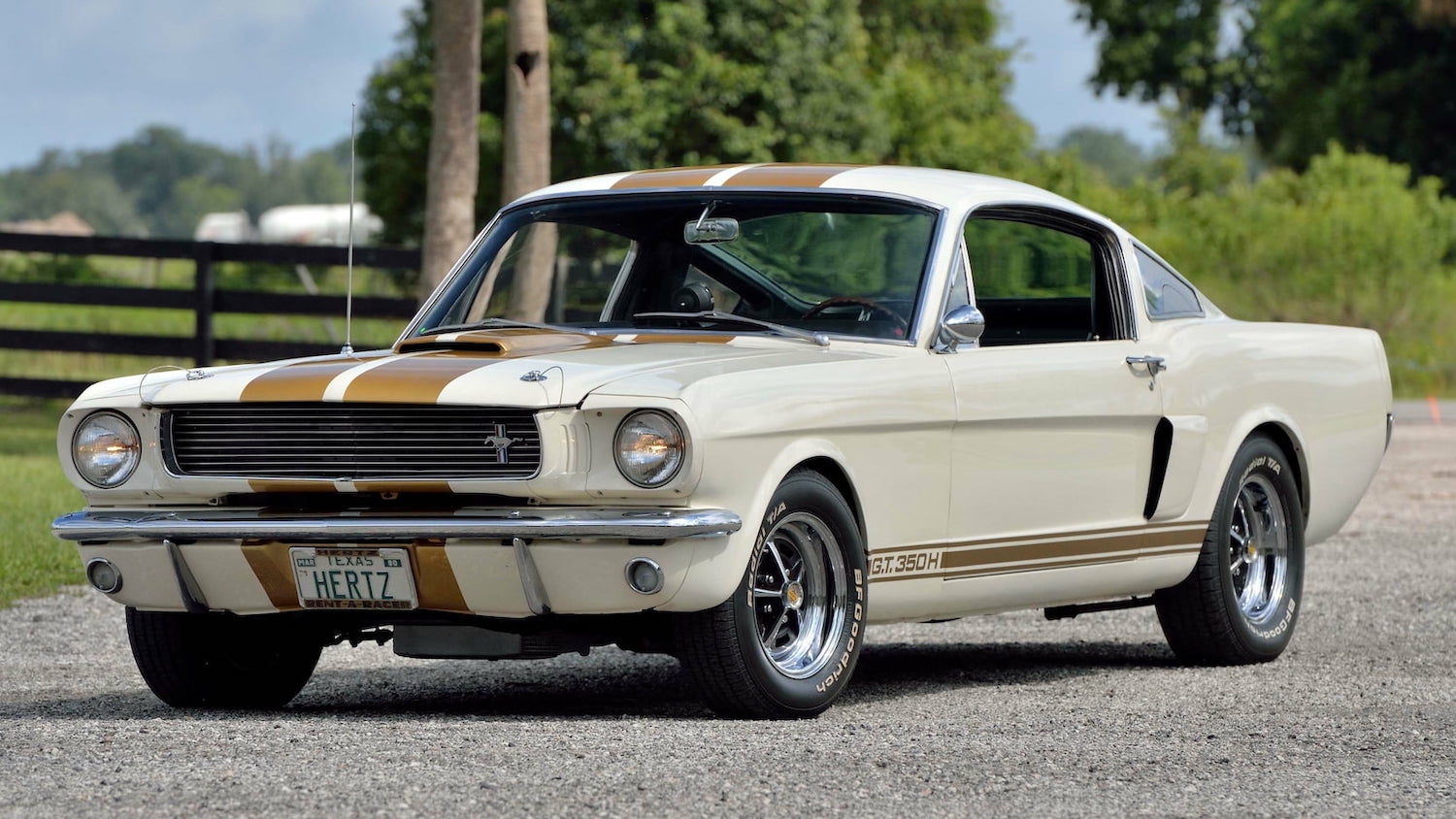 1966 shelby mustang 2022