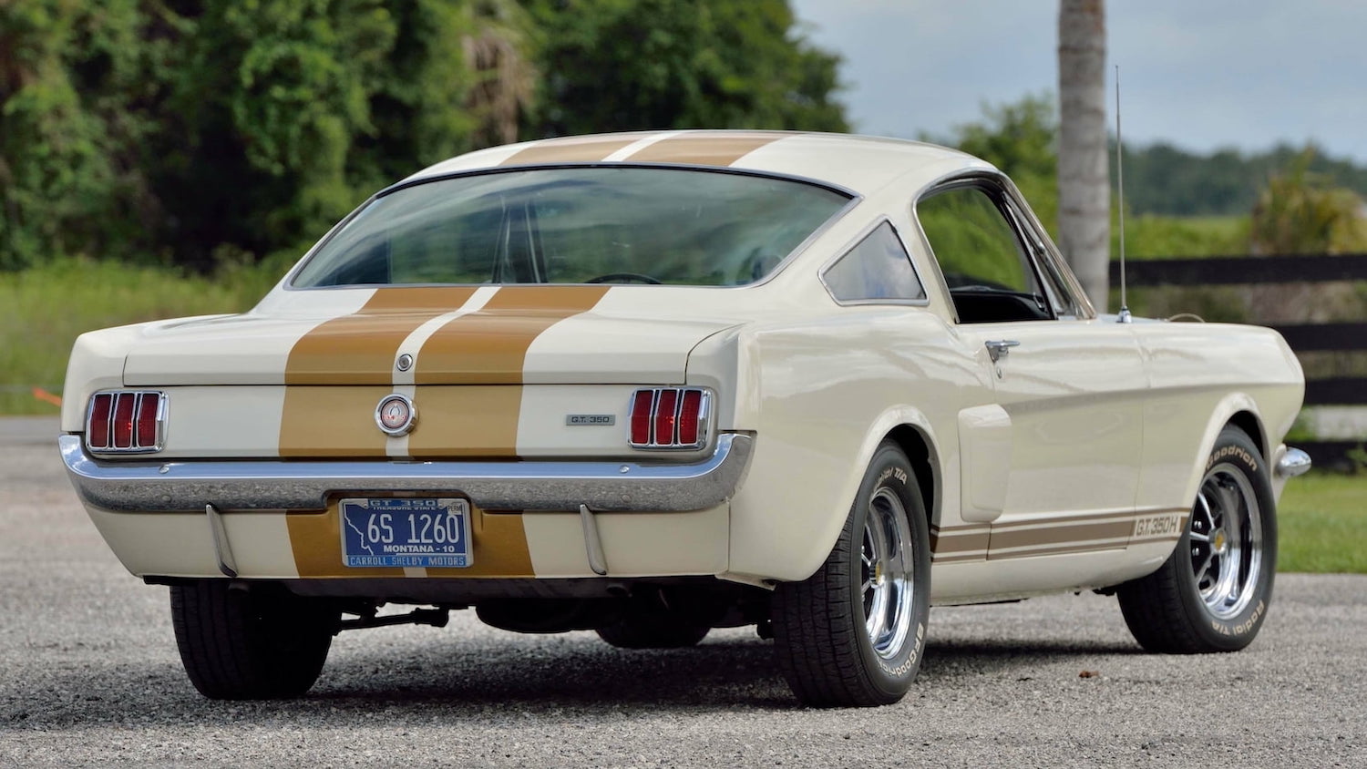 1966 shelby mustang 2022