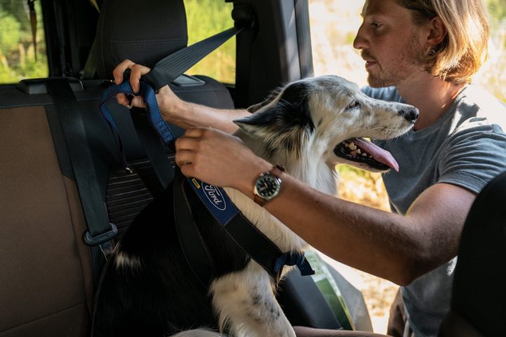 FordPass Rewards Online Redemption Accessories Pet Harness