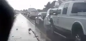 Ford Super Duty Crashes Into Ford Escape - Exterior 003 - Rear