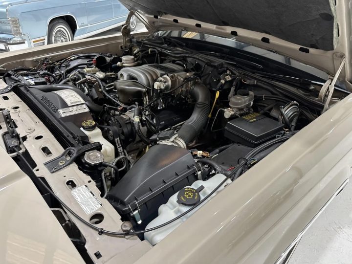 1991 Ford Crown Victoria With 10K Miles - Engine Bay 001